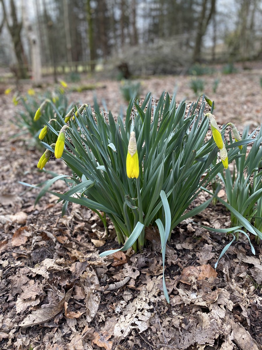 Pettypool tweet media