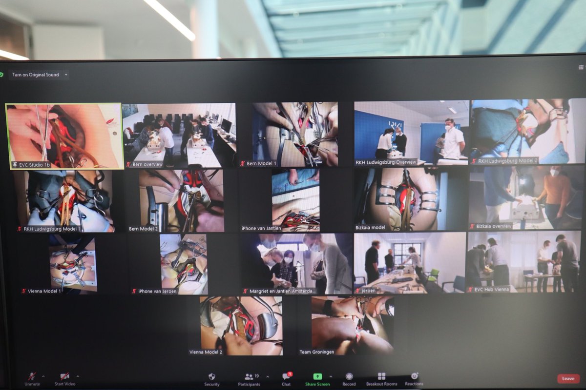 Today the Getinge - Vascular International open AAA repair workshop attracted 228 participants at the 24th European Vascular Course. The tutors Dr Edin Mujagic and Dr Klaus Klemm were connected with 7 international hubs where the same AAA surgical model was sent to.