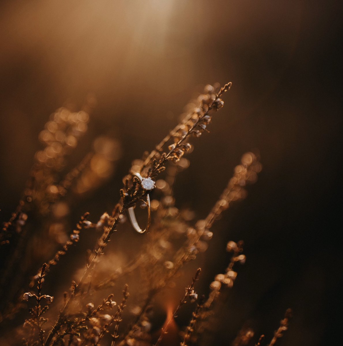 The easiest “yes” 💍💛 <a href="/JarnoVerheye/">Jarno Verheye</a>