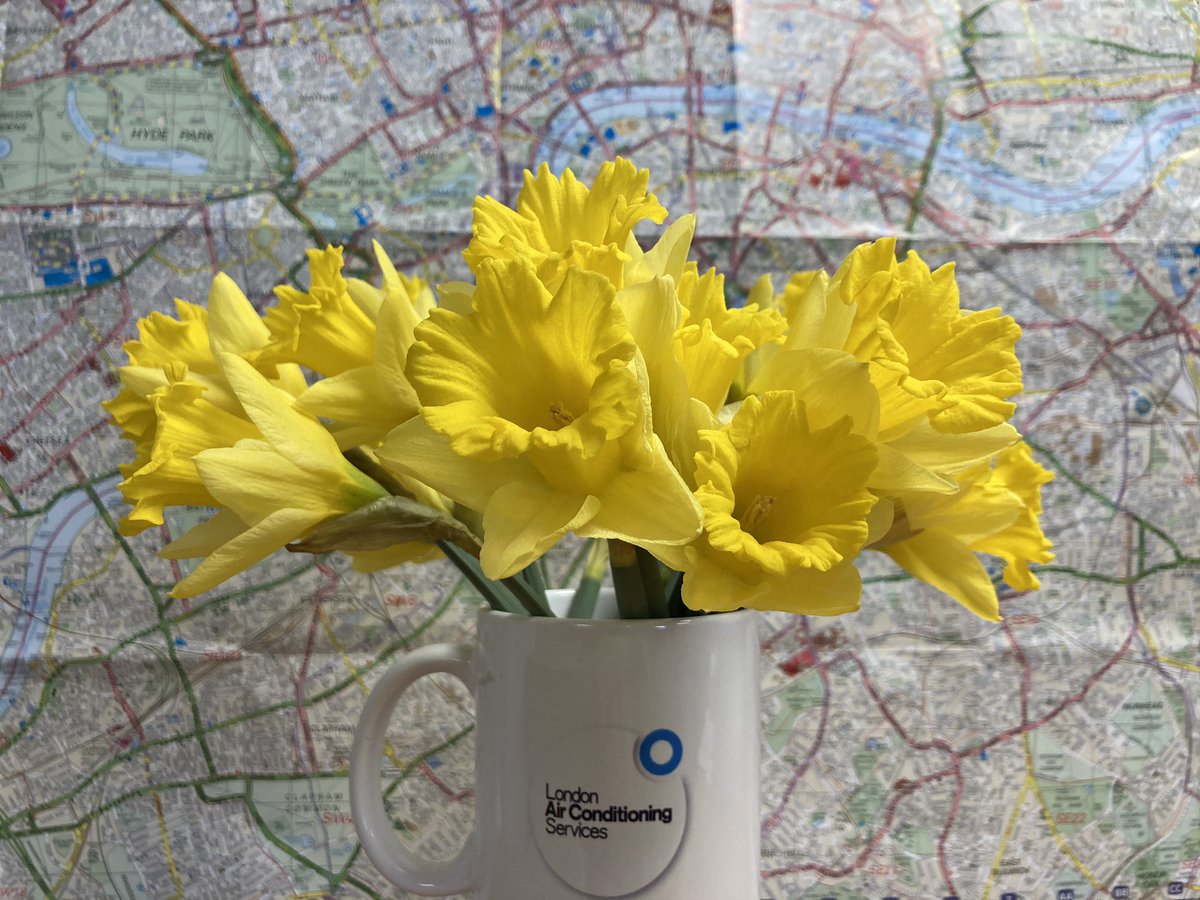 Planning a week of service calls with the beautiful reminder that spring is here. Really lovely to see beautiful colour! #springclean #london #airconditioning #reopening