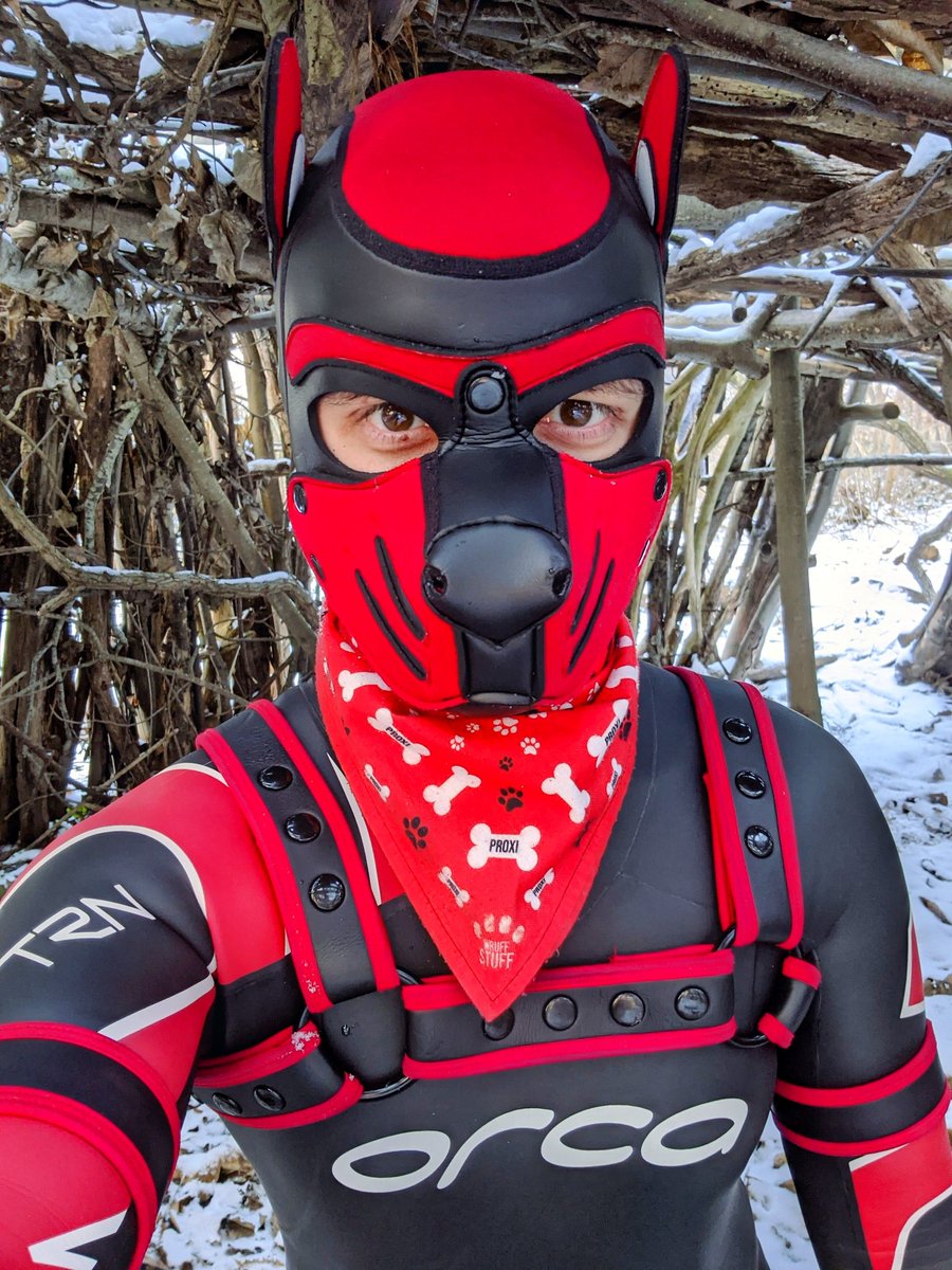 Find a very nice doghouse 🏡😊🐶🐾