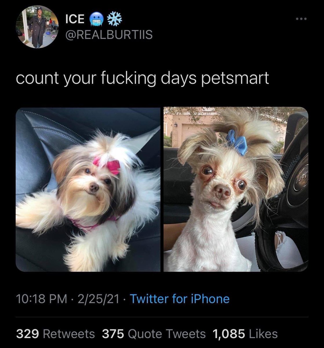 localbreadco's tweet image. I Just want a little off the top.