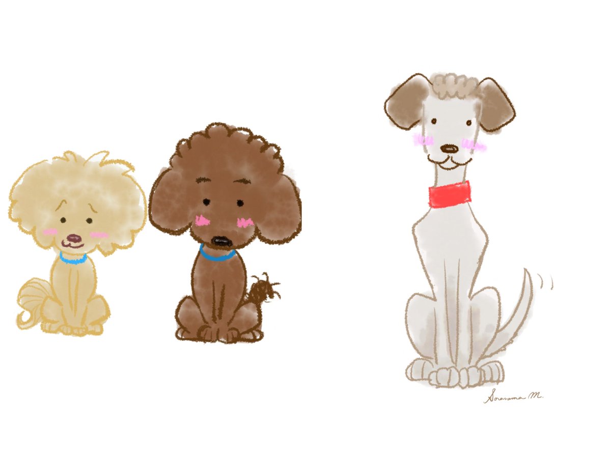 宙々 ソラノマ ペット似顔絵グッズ販売 على تويتر ペット似顔絵屋さん 趣味でアニメーション始めました 笑 でもかなりキツい 汗 似顔絵用の作風時間掛かるから イラレ用の作風で うちのメンバー とりあえず歩かせました いいね1個でも付いたら 飛び上がって次作り