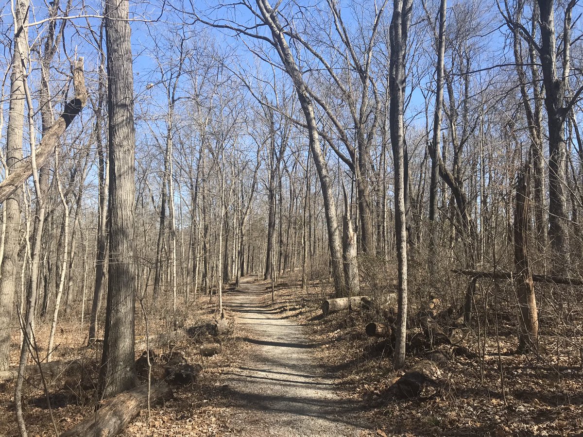 Beast502Mode's tweet photo. The Adventures of... #NatureBeast
(Nine Penny Natural Branch Preserve edition) https://t.co/cMVrSJN32S