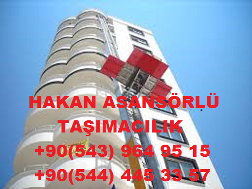 Hakan Evden Eve Nakliyat Şehir içi ve şehirler arası taşımacılık
#hakannakliyat
#hakanevdenevenakliyat
#hakantasimacilik 
#hakannakliye
#hakanevdenevenakliye
#evdenevenakliyat
#evdenevenakliye
#evdenevetasimacilik
#sehiricinakliyat
#sehirlerarasinakliyat
hakanevdenevenakliyat.com