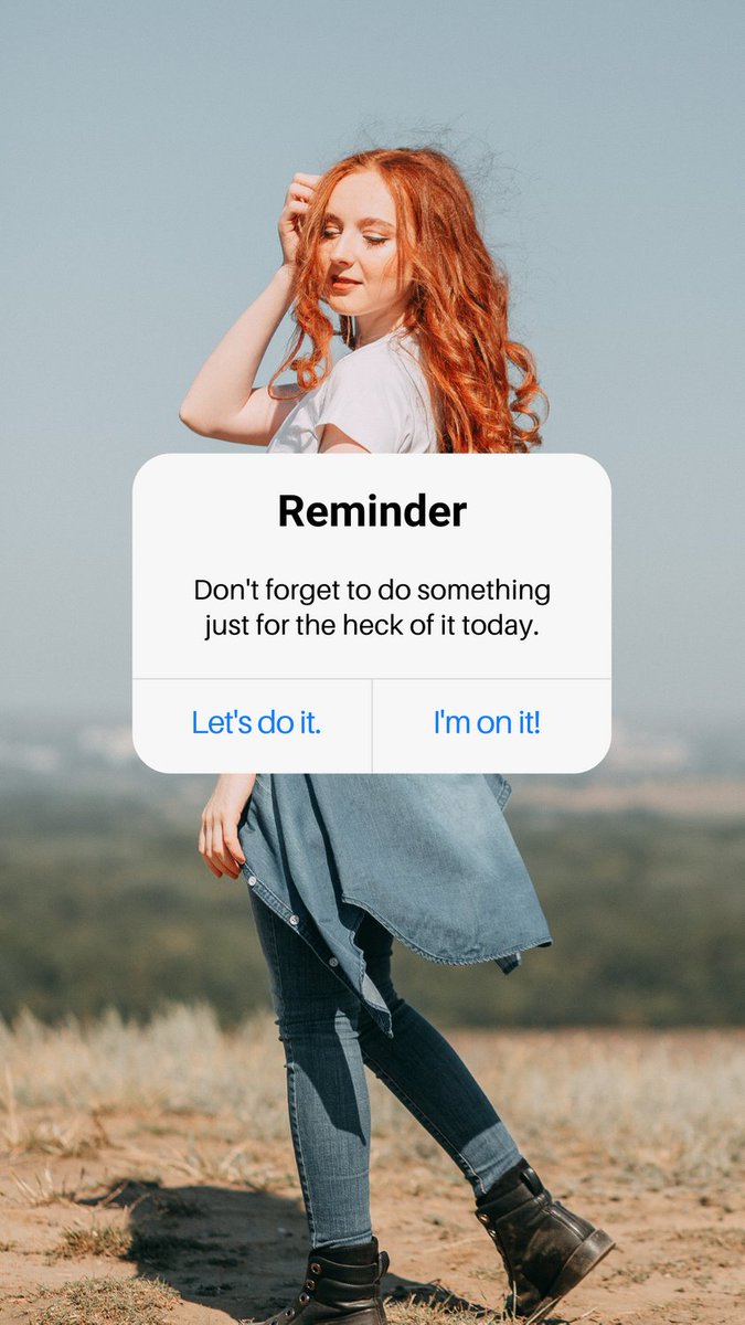 Diane Dahl (@didahl) on Twitter photo 