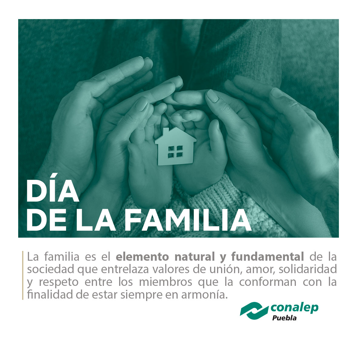 Celebremos siempre la unión de la familia que se constituye como parte vital de nuestra sociedad. Cuidemos y honremos el vínculo entre sus miembros y reconozcamos su importancia como eje de vida y nación.
#DiaDeLaFamilia

#Conalep
#ConalepPuebla
#OrgulloConalep
#ConalepParaTodos
