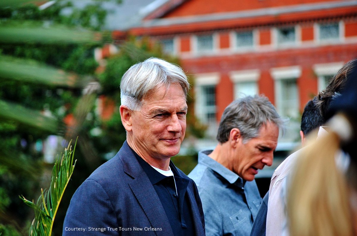 Titine_HDF's tweet photo. Courtesy: Strange True Tours New Orleans (March 2014)
"Mark Harmon filming NCIS in the French Quarter.
Hollywood South Baby!!
Movie Stars and swimmin' pools."
#MarkHarmon #AgentGibbs #LeroyJethroGibbs #JethroGibbs #Gibbs #NCIS #ScottBakula #AgentPride #DwaynePride #King #NOLA https://t.co/wzIM7wCP7J