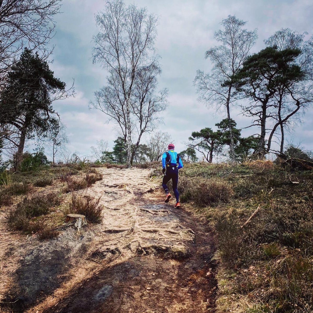 CairnTrails's tweet photo. Tempo Trailrun op en over de Holterberg. Gegidst worden door @Zelst_PT in zijn achtertuin, was genieten. #trailrunning #salland #byRobin #byCairn #cairnadventures https://t.co/7QCLwKVLff