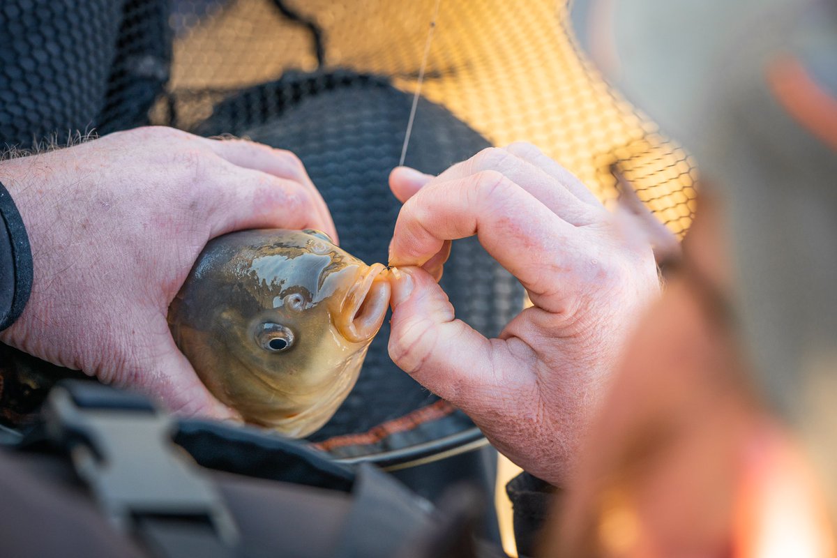 TackleGuru's tweet photo. Great bagging the Spring sun with Guruโs Andy โBaggerโ Bennett at the awesome @PartridgeLakes earlier this week! We filmed several short tip videos with Bagger all about Spring F1 fishing... Head over to our Facebook page to check them out ๐ช๐ป #tackleguru #bagger #spring #f1tips https://t.co/nUFIrcfxAR