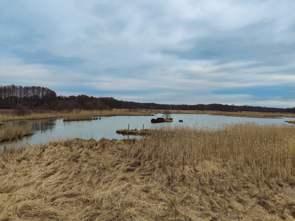 sniter_twitch tweet media