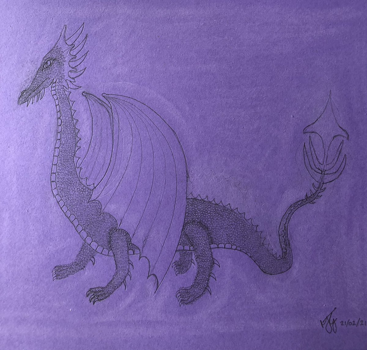 MJGoodman73's tweet photo. Draco Materis Goodmanii (female parent) pink.  Draco Melis Goodmanii (Male offspring) purple https://t.co/19Z1wot64j