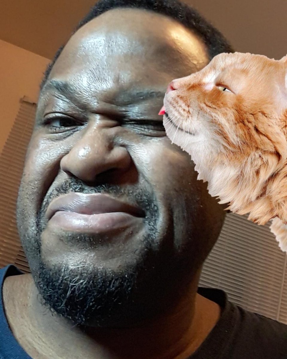 DarrellRDP's tweet image. My Cat Loves Me...
#darrellrdp #cat #pet #loveyou #love #animals #animalovers #comedy #filter #instagram #instagood #youtuber