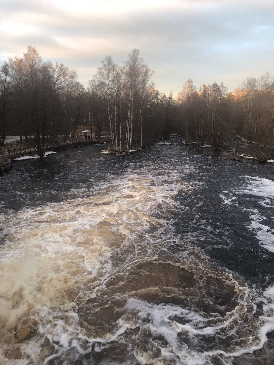 LinneaSvedlund's tweet photo. 30y+1m https://t.co/qSGqPXEYSi