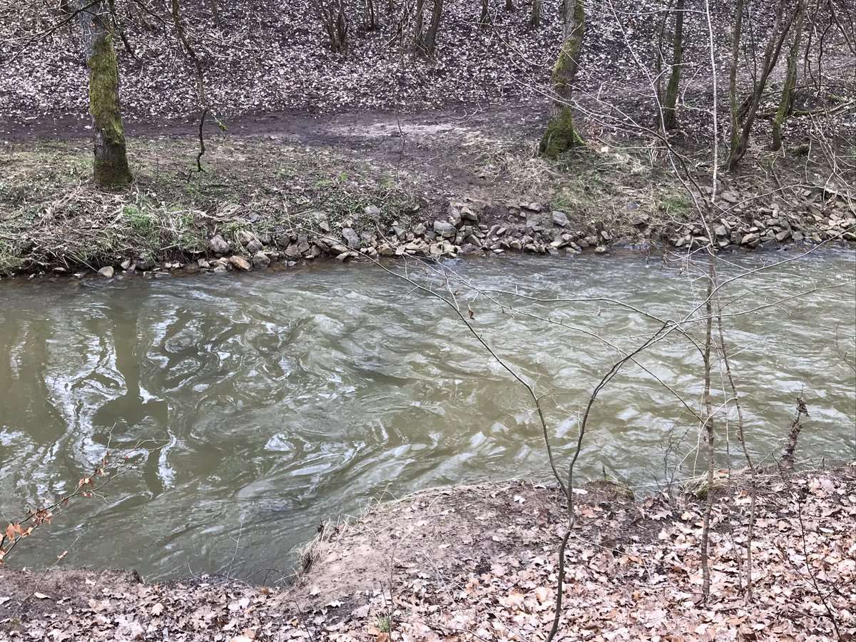 Nicholas Babb tweet media