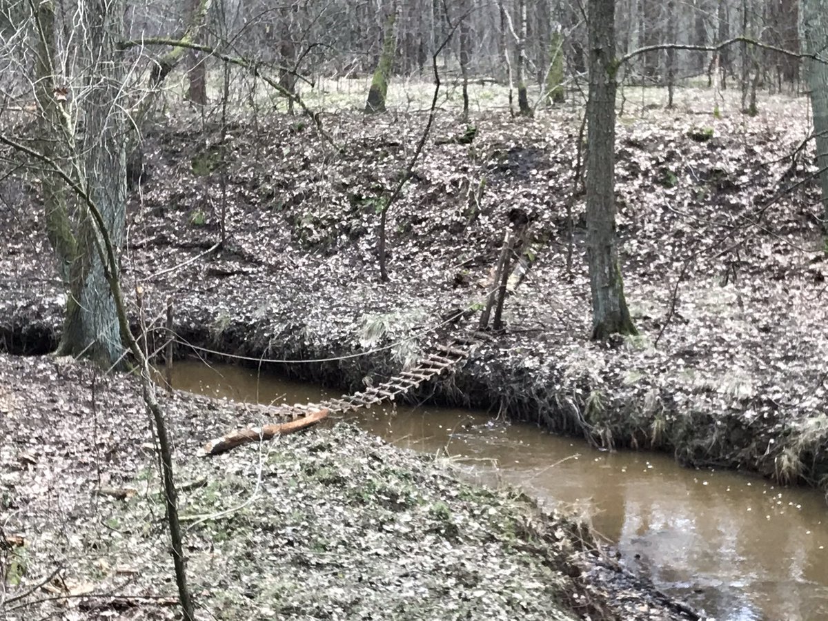 Nicholas Babb tweet media