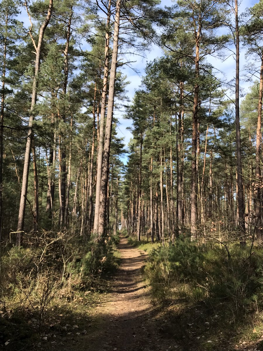 Nicholas Babb tweet media