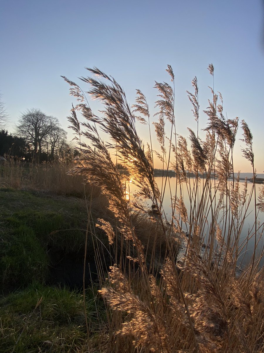 Nigel Phillips tweet media