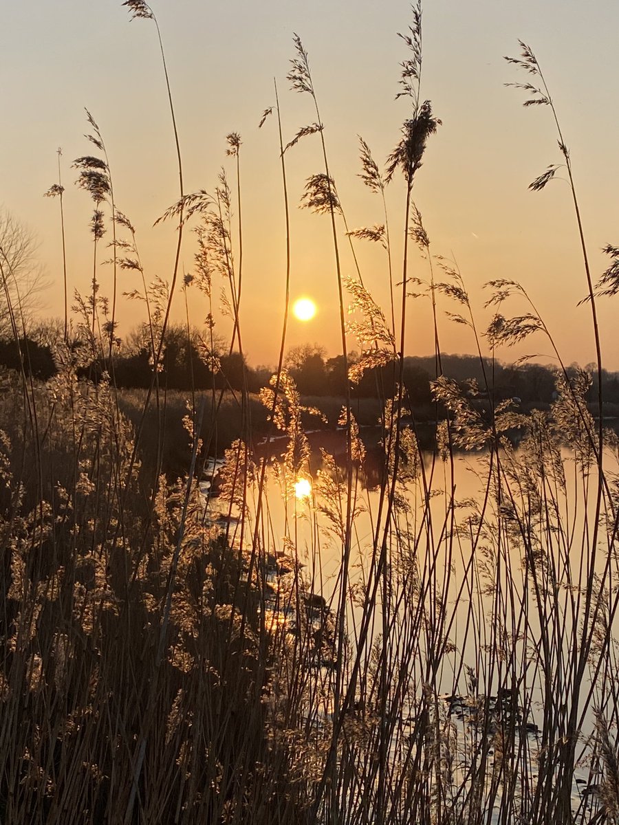 Nigel Phillips tweet media