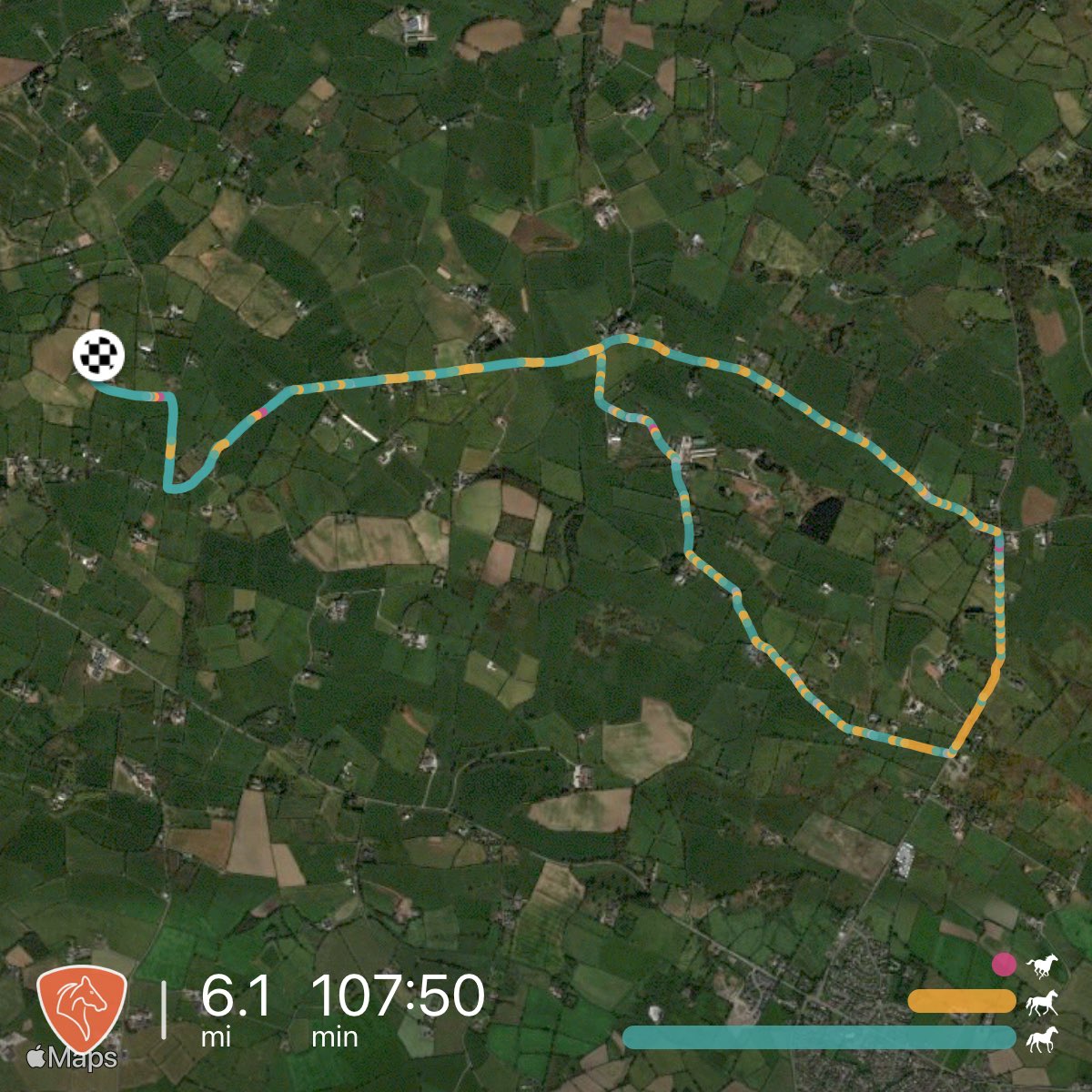 carol199's tweet image. Today’s pony adventures - lots of trotting to catch up with our long legged companion 🤣 16 miles covered in the past 3 days 👍#Roxy #WeekendHacking #PonyFitnessTraining