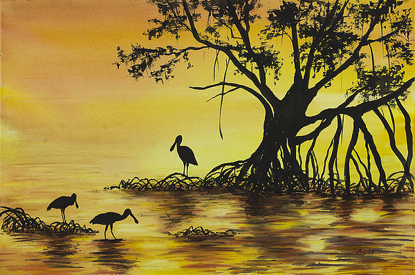 BCWatercolors's tweet photo. New artwork for sale! - "Everglades Sunrise" - https://t.co/80KC6Hmq0S @fineartamerica https://t.co/U3qy3hgMM3