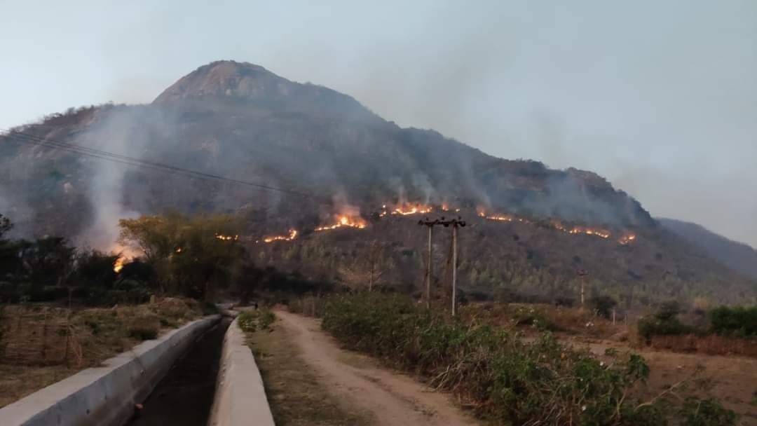 tweetsuva's tweet photo. #SaveAjodhyaHills
#PrayForAjodhya
#saveforest "শাল কান্দে পিয়াল কান্দে...
কান্দে মহুল বন...
অযোধ্যা পাহাড়ে বসে কান্দে হামার মন..." https://t.co/P1LZBkWTGy