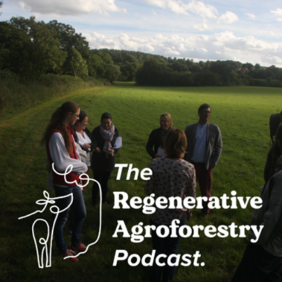 Agroforestry is often promoted for its ecosystem services and as a way of increasing productivity, but what does scientific research actually say? 

Check out our latest episode!

LINK HERE: regenerativeagroforestry.org/episodes/episo…

#agroforestry #agroecology #regenerativeagroforestry