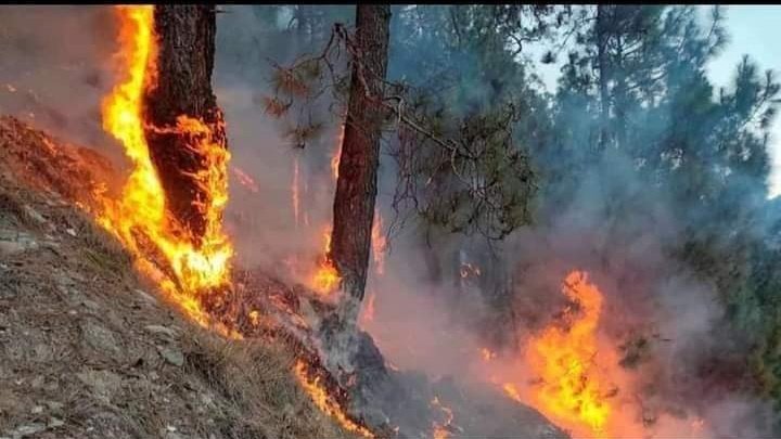tweetsuva's tweet photo. #SaveAjodhyaHills
#PrayForAjodhya
#saveforest https://t.co/n5zDRHnhYa