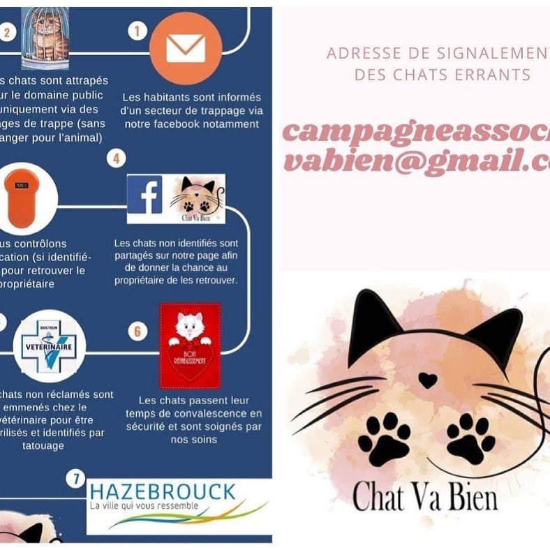 Association Chat Va Bien Assochatvabien تويتر Association Chat Va Bien Assochatvabien تويتر