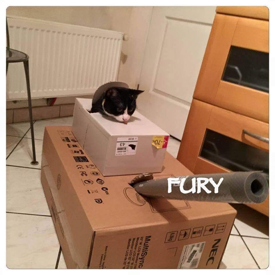 youtu.be/G2ci-mFK-r8
Comme un chat d'assaut
Dissimulé dans les rosiers
Comme au cinéma ma double identité
Je porte ma seconde peau
Comme le tuxedo que j'ai loué
Ma source d'inspiration, ma double identité