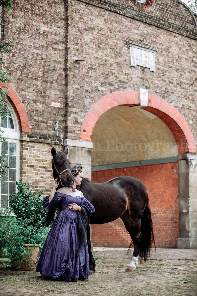 #fineart #fineartphotography #equine #victorian #styledphotoshoot #regal #elegance #equinephotography #photo #horse #EquineHour