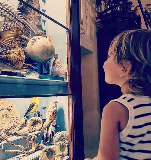 TuscanyAtHeart's tweet photo. My first contribution to ''Dario goes to the museum', the new traveling with kids Column of Tuscany at Heart blog, is now available! Please, check it out and send me your thoughts! 🙂
https://t.co/QUKoOOk9Dk
#travelwithkids #traveltips #Toscana #Pisa #Tours #tourism #adventure https://t.co/ZsEZBv9B1i