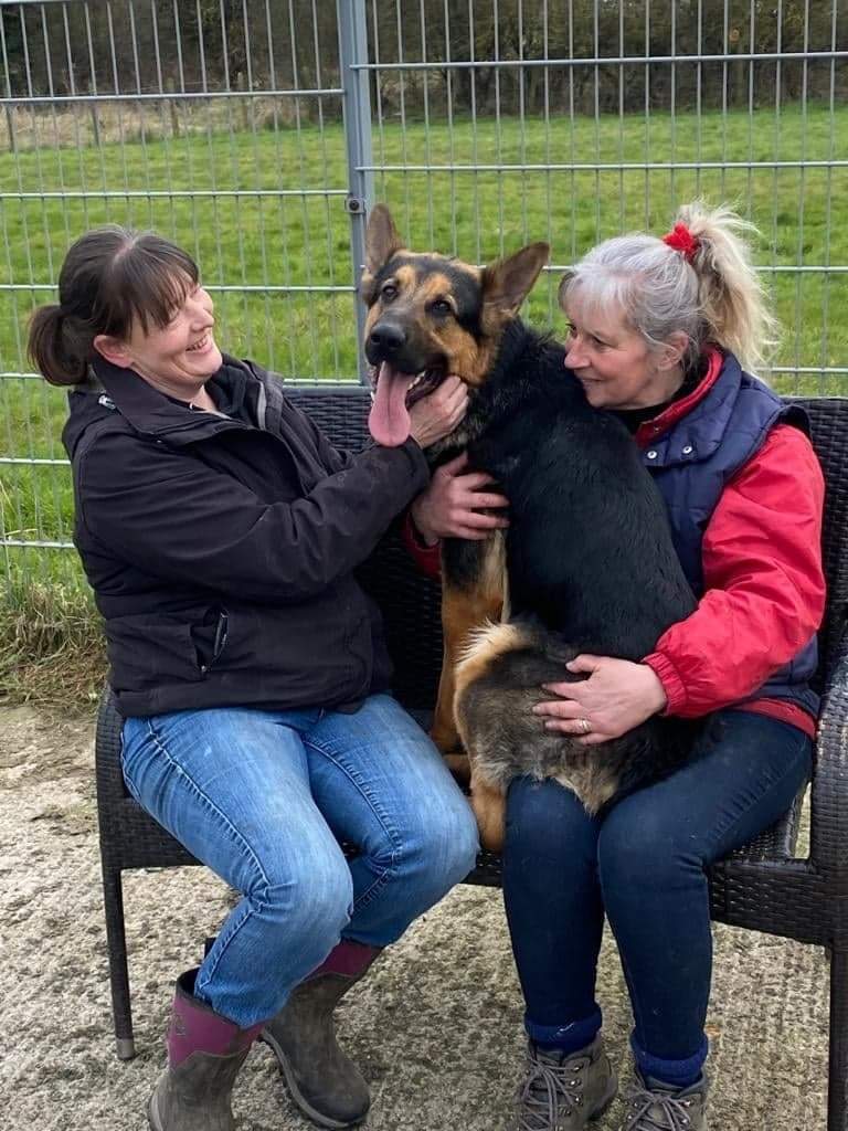 gsrescueelite's tweet photo. Ted has been with us a few months, not one person could get near him for a week, then very slowly 1 person and now with consistency he allows 2 in his circle. Long way to go but our volunteers are amazing at what they do 👏
#dogs #germanshepherd https://t.co/CVTAecqxpt