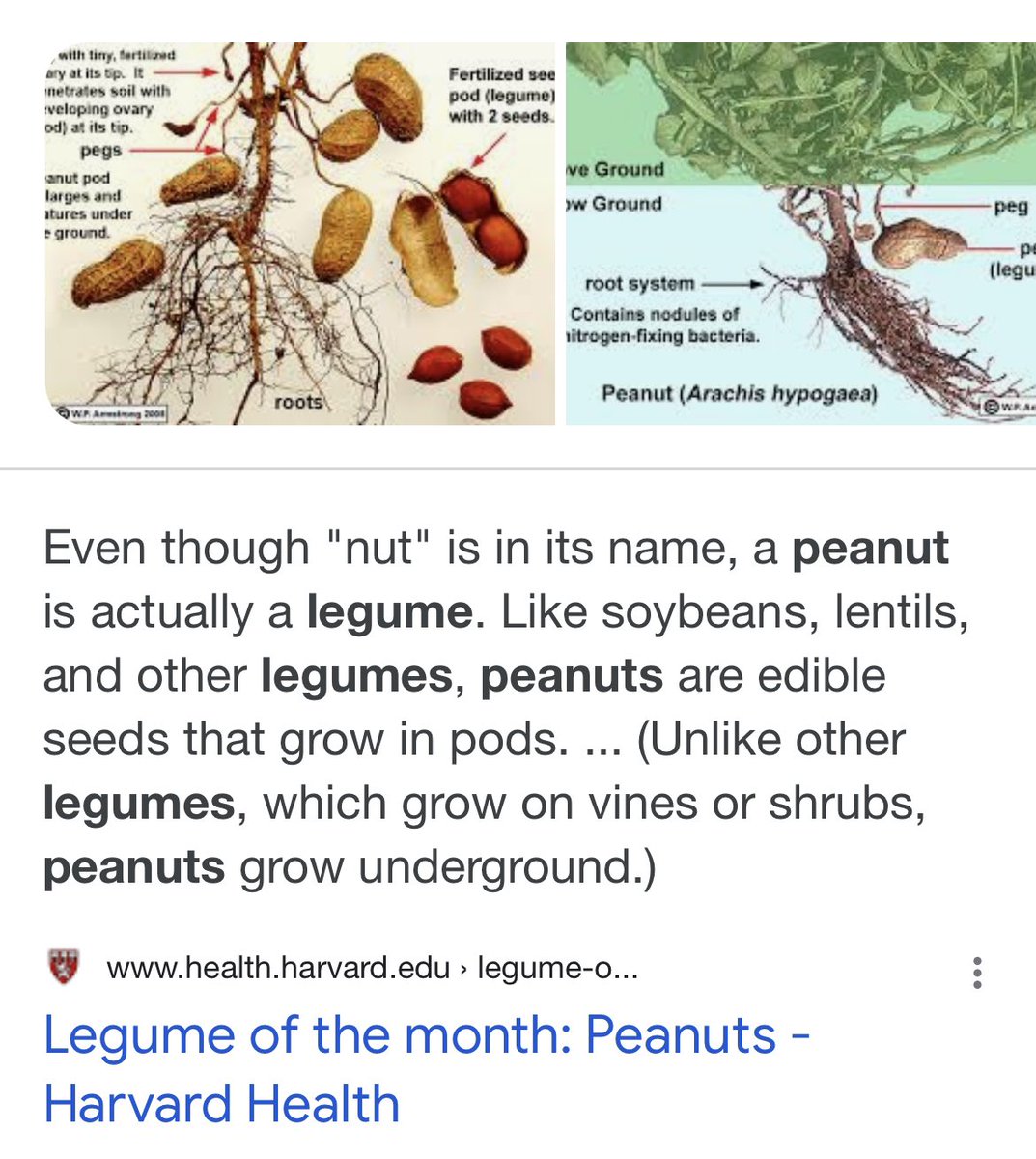 Everything is a lie
