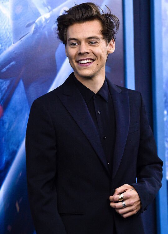itsdenisepisano's tweet photo. In this house 
                 we are proud 
                             of 
                   Harry Styles https://t.co/F6AQCYriD0
