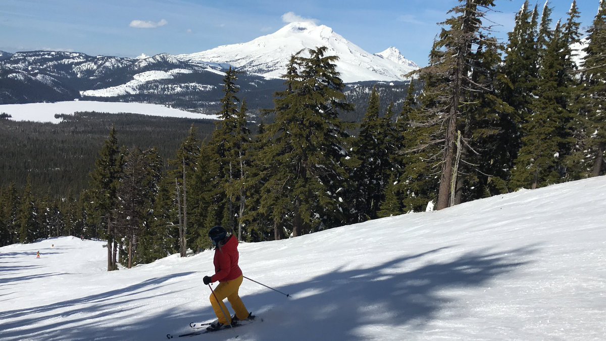 Toby Goodroad tweet media