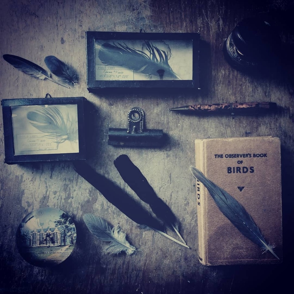 On my to share list forever! 

Missing museums and art galleries like crazy, I decided to bring the idea of them into our home.

Went onto Pinterest, of course, for some inspo and found myself drawn to these old shadow boxes! 

How could I make some?
And… instagr.am/p/CMIR8asDvAd/