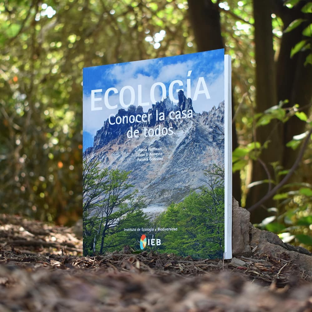 IEBChile's tweet photo. ¡Estamos muy felices con esta noticia! 🌿📚 Ya está disponible en @verde_libro,  la nueva edición del libro "Ecología, conocer la casa de todos", desarrollado por los ecólogos del #IEB, Alicia Hoffmann, Juan Armesto y Paloma González. 
¡ Pronto tendremos su lanzamiento ! 🤩 https://t.co/w7xHOXgU0J