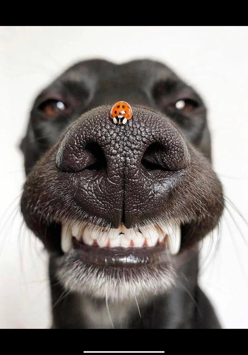 Vegolution3's tweet image. Spread the LOVE y’all.