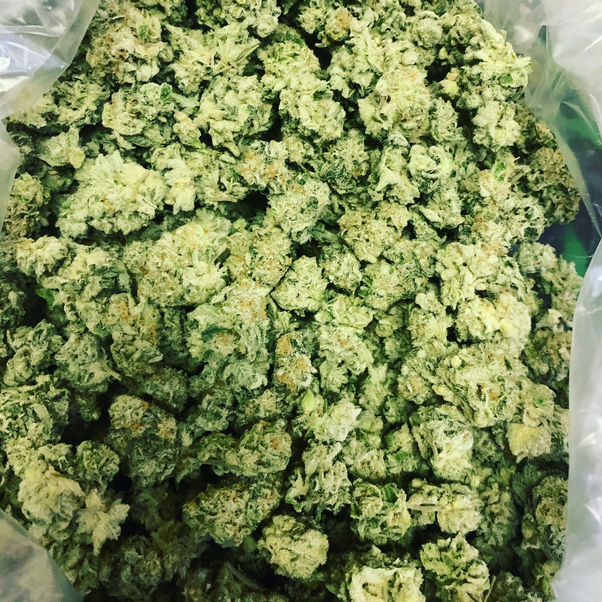 HigherLvtm's tweet photo. Some #MarijuanaScience for Your Brain by @RobbinsGroupLLC 👇🏽
> Commemorating @CelebrationPipe: https://t.co/x5X8aPJ5yU
> Higher Learning: Varin Cannabinoids: https://t.co/e0qDoqGOYS
This ain't free. Please remember to #LearnAndTeachOthers™ (retweet, comment, tag) every day! https://t.co/C4N6u6bA3Q