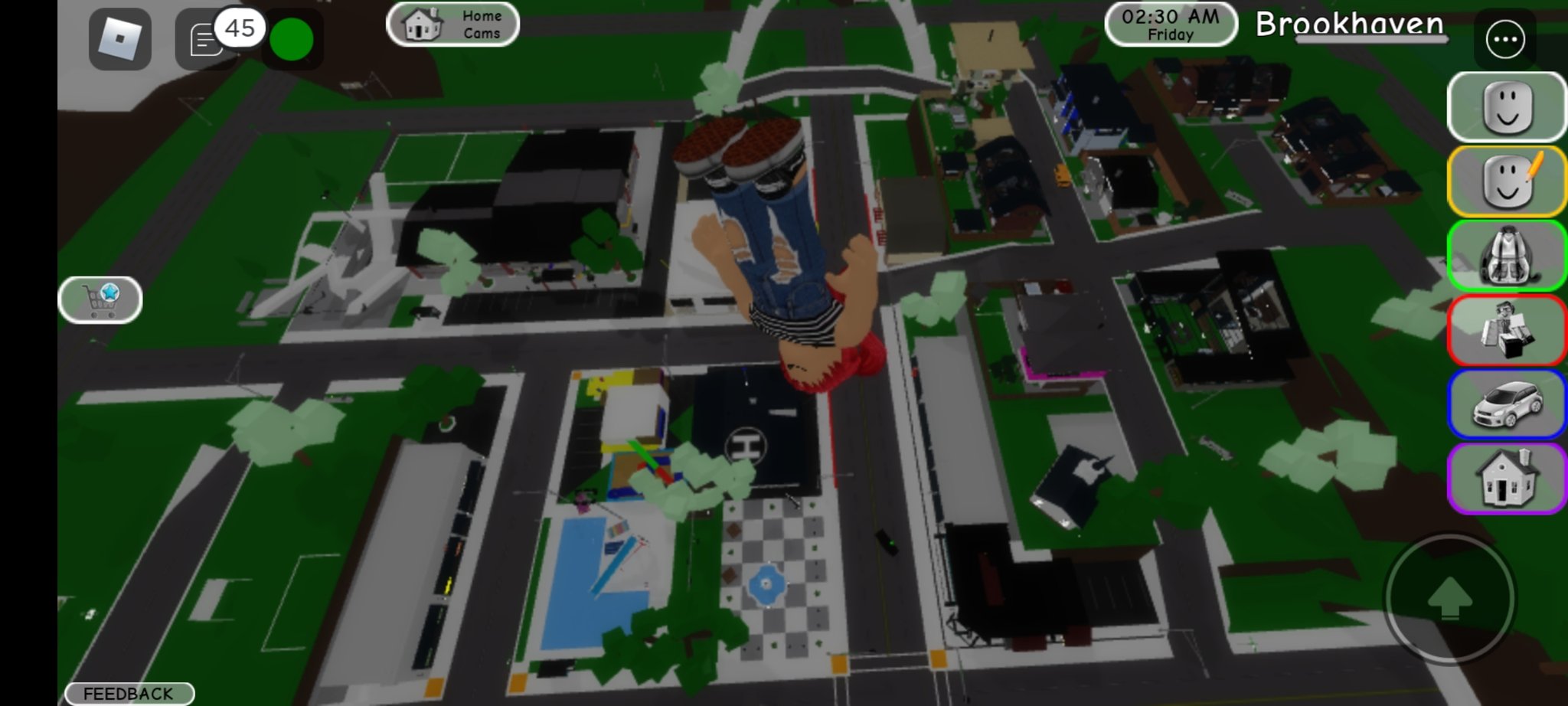Old Brookhaven Map - Roblox