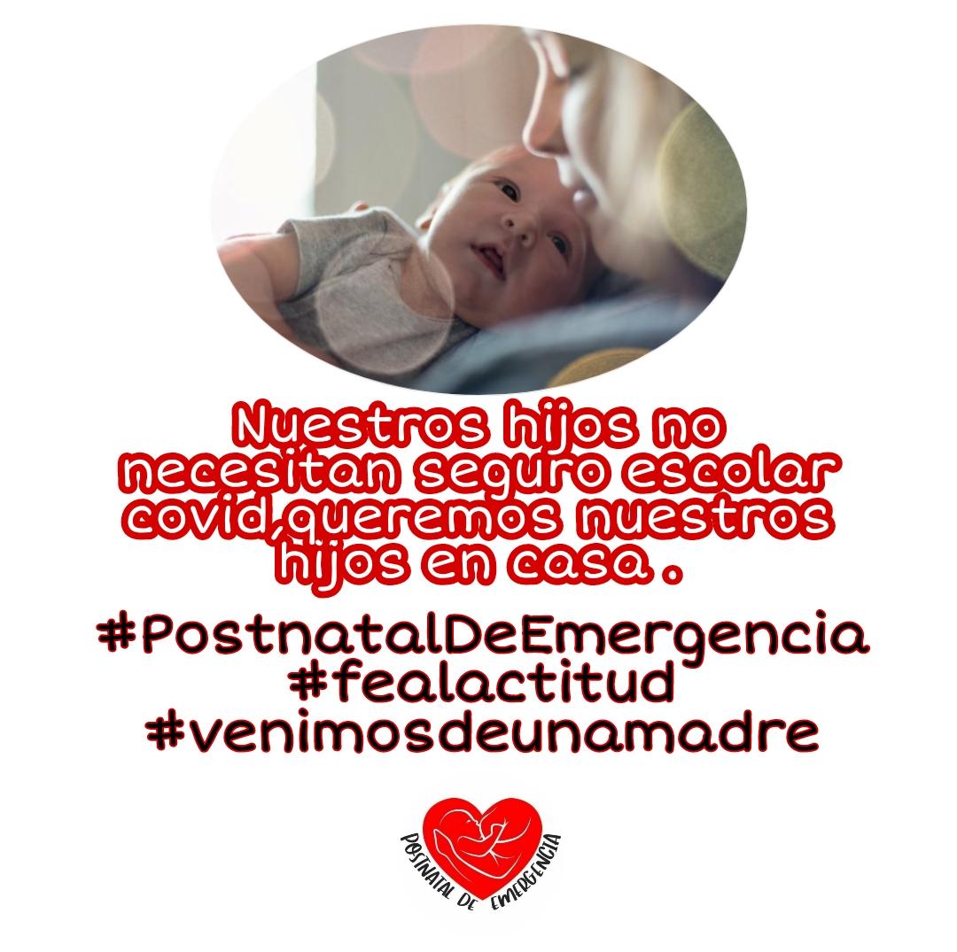 Postnataldeeme1's tweet photo. La maternidad es castigada en Chile 🇨🇱 
#fealactitud 
Extensión #postnataldeemergencia URGENTE 
#venimosdeunamadre https://t.co/Tusg4VqTTm