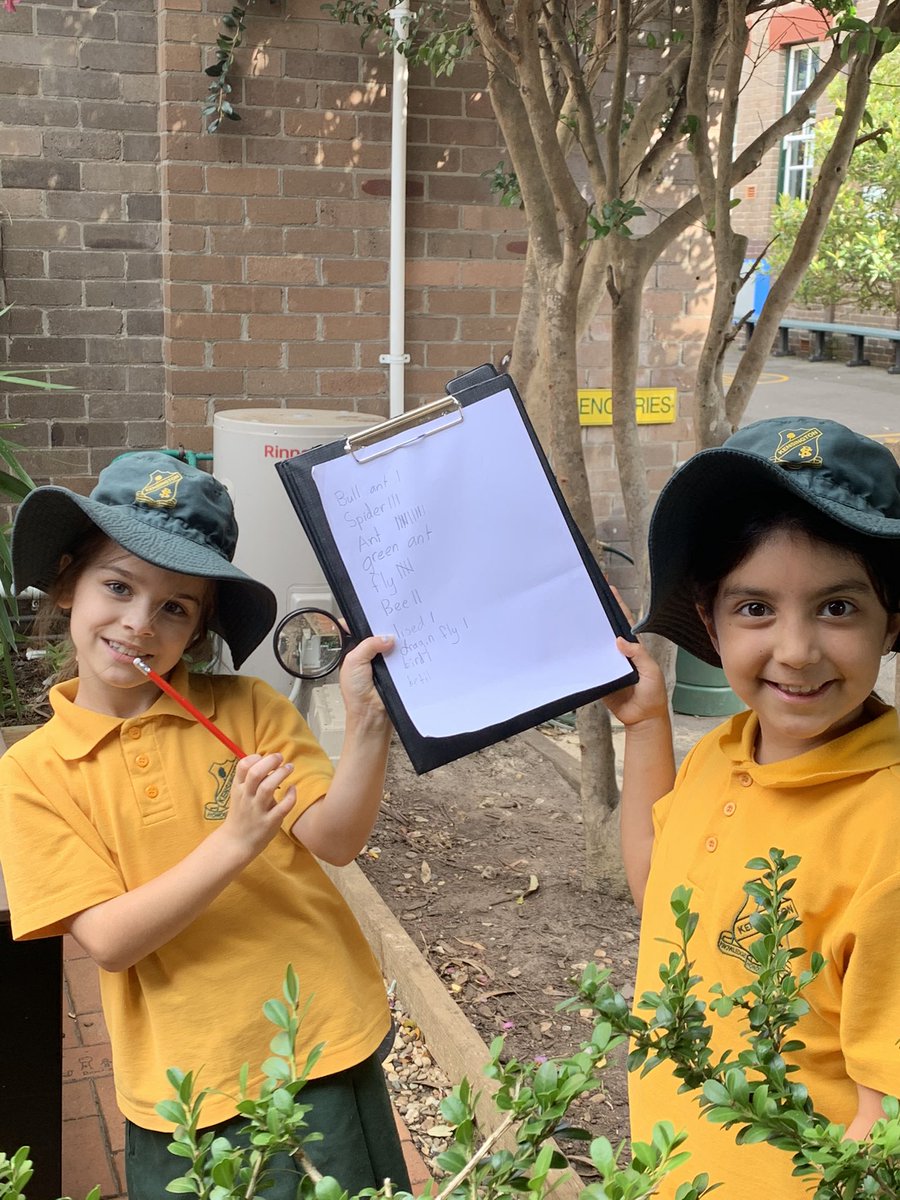 KENSINGTONPS's tweet image. We spent the morning being citizen scientists and making observations of living things in our KPS playground #2F #MiniScientists #CitizenScience