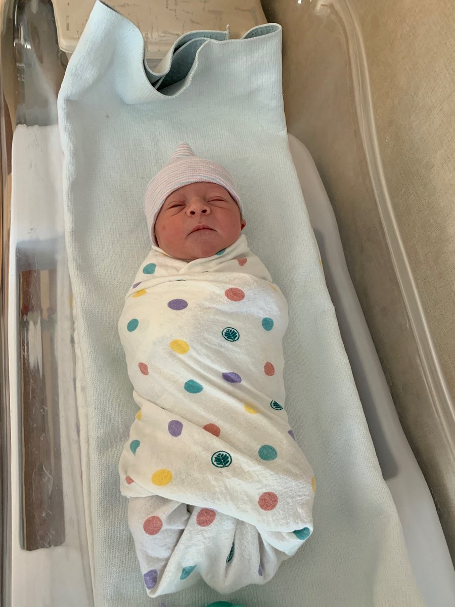 Lang Reynolds tweet media