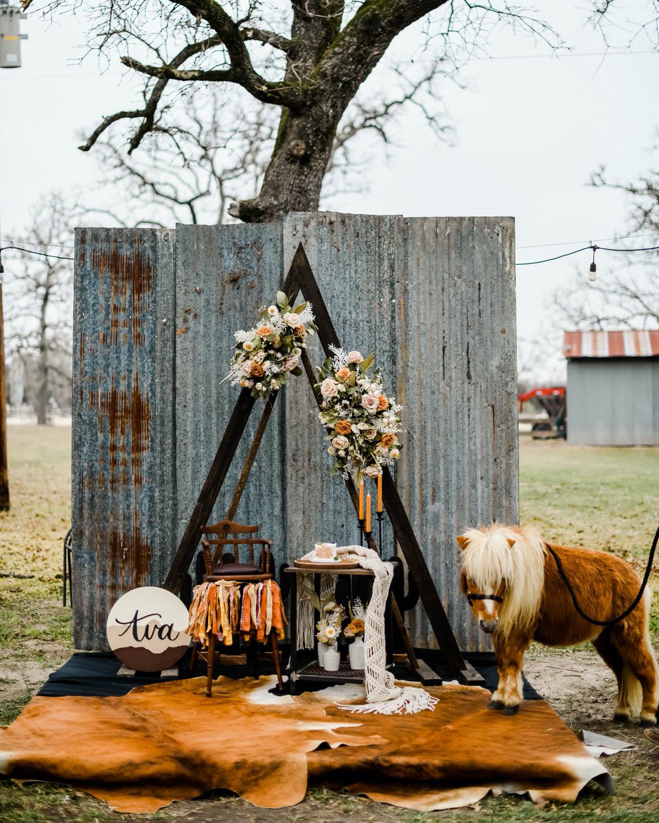 fiftysevenbloom's tweet photo. could your birthday party even?? 🧡✨

Photo @Racheldriskell
Florals @mb_urbanrubbish https://t.co/9yFkbViHNN