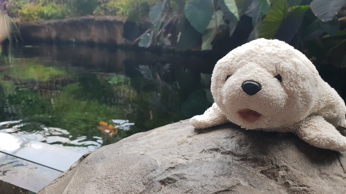 Celia Celia please go and follow my lovely friends!

<a href="/Kindness626/">Sandy ❤️🐾❤️🐾❤️🐾❤️🐾</a> <a href="/furbabyfan/">Hetty (✿ ͡❛ ͜ʖ ͡❛)</a> @TheDog_Chica <a href="/growlerpbear/">Growler P Bear</a> <a href="/AllieWaghorn/">Allie Wag</a> <a href="/troyrottweiler/">Troy Vom Heidenblut 🌈💔🐾</a> <a href="/jackiewhitting5/">Rory🐻 Missing all pals OTRB 🌈😢</a> <a href="/BonganiGiraffe/">Bongani</a> <a href="/sdudar/">S. Dudar</a> <a href="/mssoutherndixie/">Dixie the Healer, Baby Booog 🌈 Buddi Dog 🌈</a> <a href="/BlackCountryBe3/">Black Country Bert and furbro Thomas</a> <a href="/ushalls1021/">donna k daniels-hall</a> <a href="/stuffedofficial/">Youtube.com/c/StuffedProductions</a> @sueandsammycs <a href="/debrabyrne7/">debra byrne</a> <a href="/KittenISIS/">kittenisis</a>