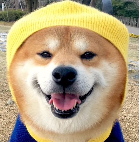 Hello all! I haven't posted in a bit but just wanted to remind you to have a good day, and remember to smile! :) #DoOnlyGoodEveryday