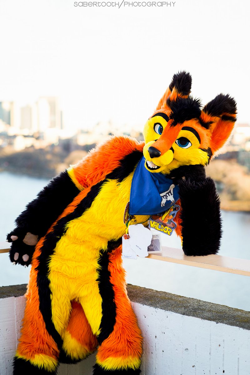 ValdorFox's tweet photo. "Come here often? ;) "
Taken at the Hyatt Regency Cambridge on March 7th, 2017
#ANE2017 https://t.co/a6Yprg6V2g