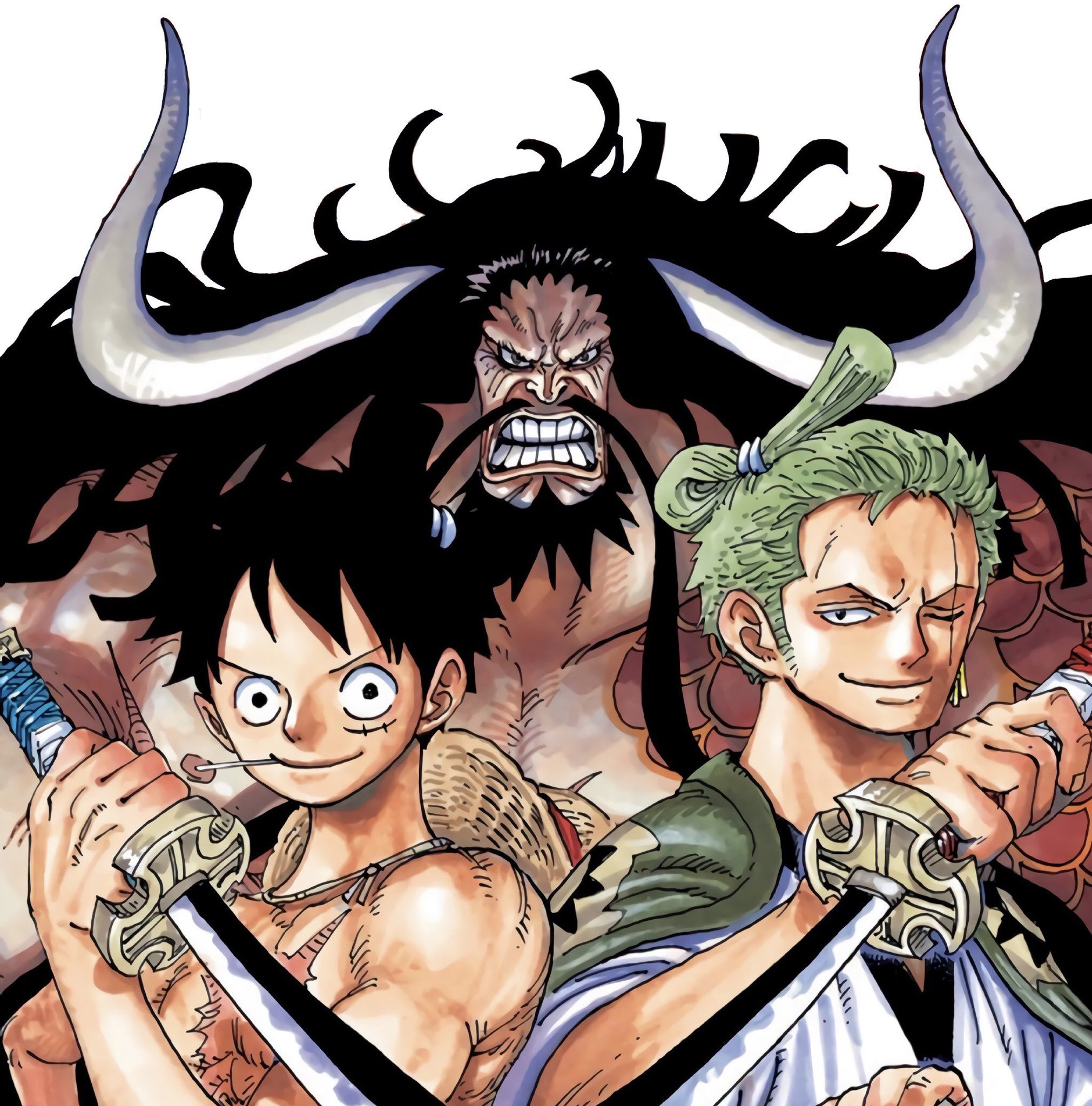 Zoro e luffy wano