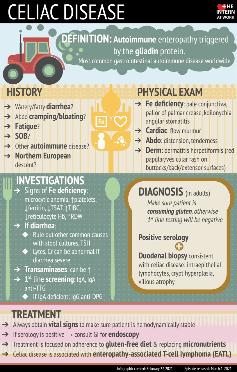 The Intern At Work Episode Reviewed By Dr Kumran Khan Gastroenterology And Dr Leslie Martin Lessmarts Gim With This Accompanying Nifty Infographic Created By Lucy Lan Lucynlan Medical Student T Co Hfefocampo